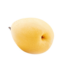 Fresh Golden pears fruit fresh 2021 Crop